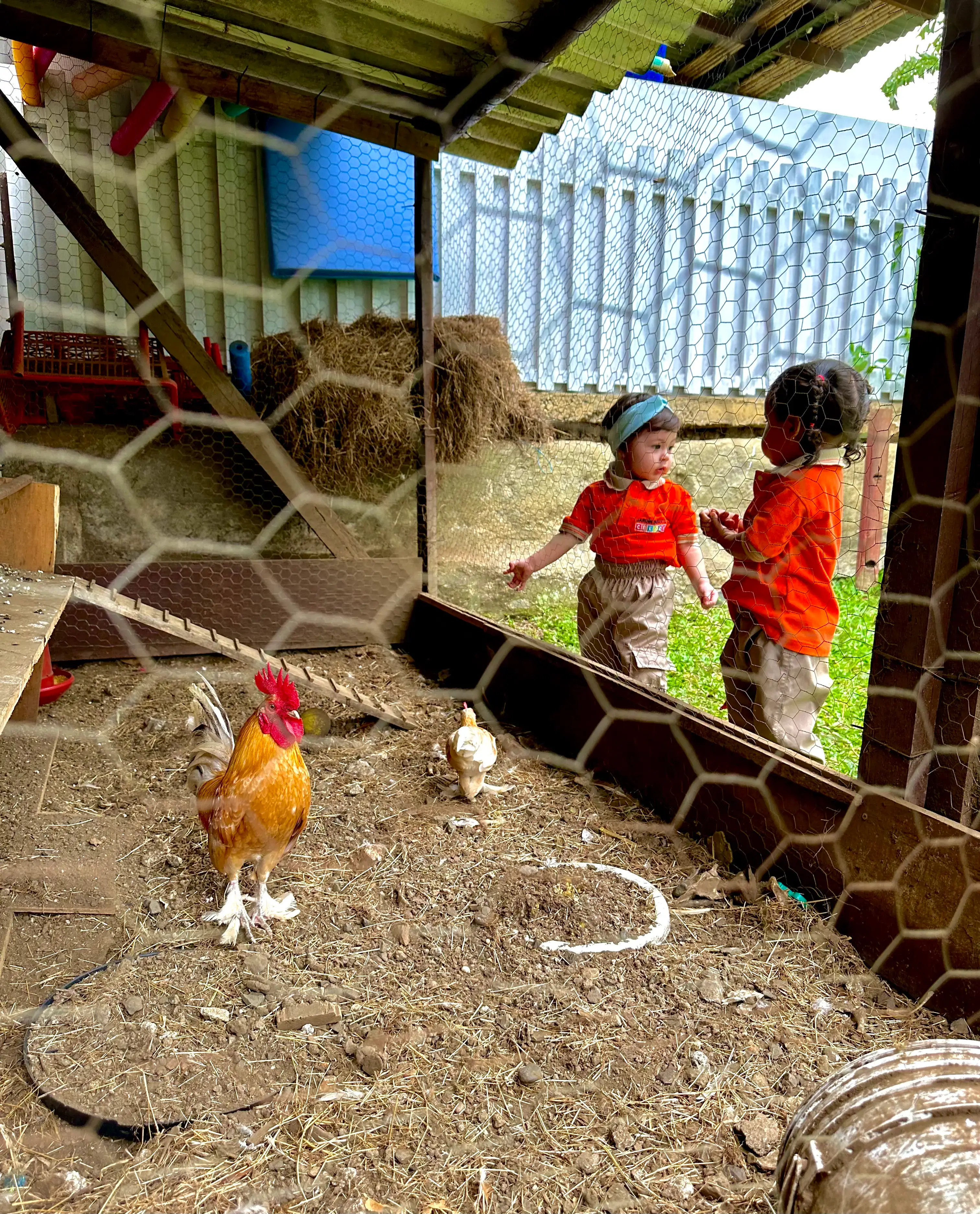 Desarrollo emocional y social animation