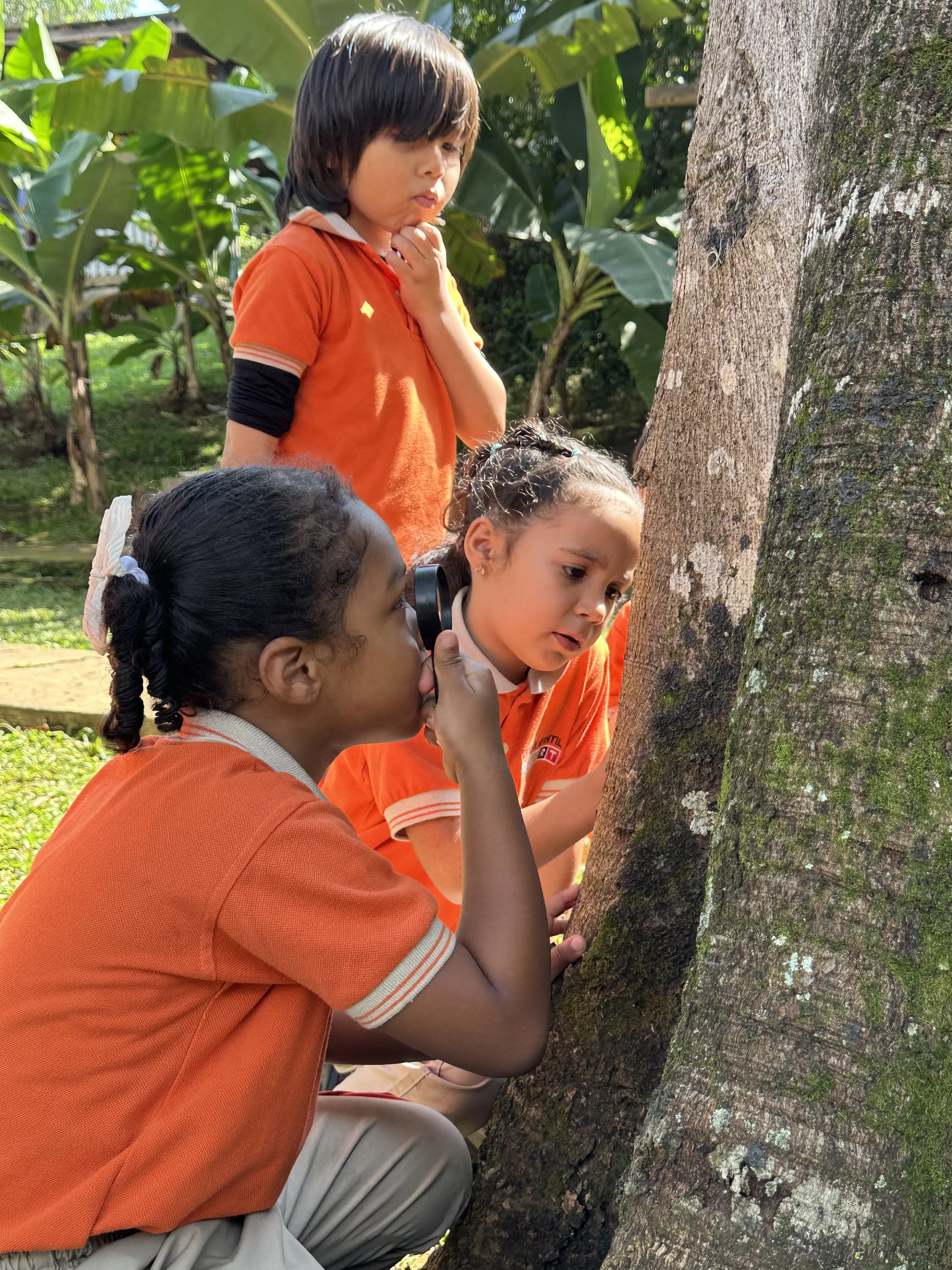 Actividad de párvulos